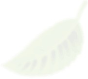 banner-shape2