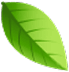 banner-shape1