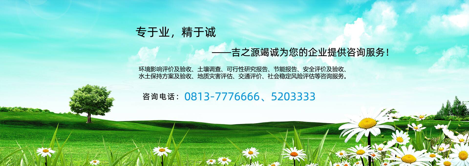 环境影响评价及验收、土壤调查、可行性研究报告
